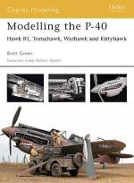 Modelling the P-40